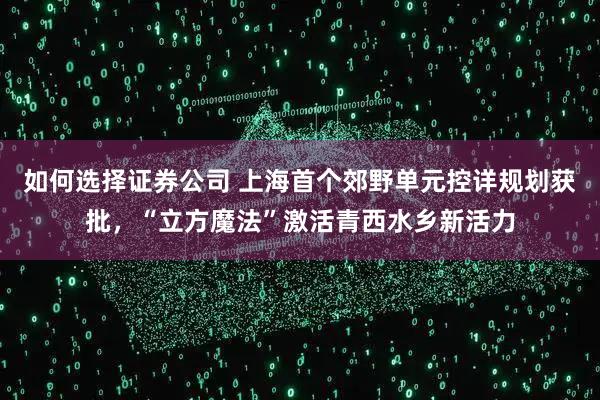 如何选择证券公司 上海首个郊野单元控详规划获批,“立方魔法”激活青西水乡新活力