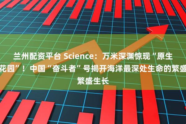 兰州配资平台 Science：万米深渊惊现“原生生物花园”！中国“奋斗者”号揭开海洋最深处生命的繁盛生长